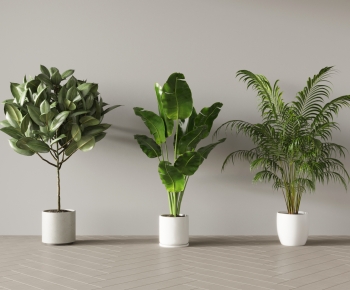 Modern Ground Green Plant Potted Plants-ID:677515983