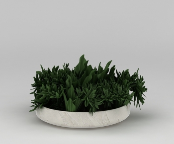 Modern Potted Green Plant-ID:428113941