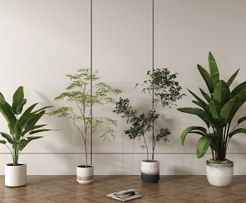 Modern Ground Green Plant Potted Plants-ID:718477961
