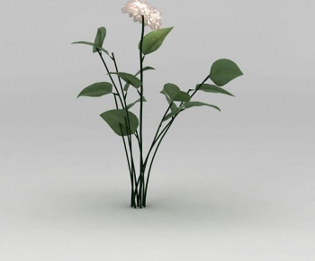 Modern Flowers And Grass-ID:511288882