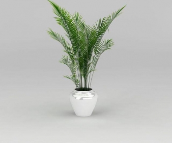 Modern Ground Green Plant Potted Plants-ID:125401069