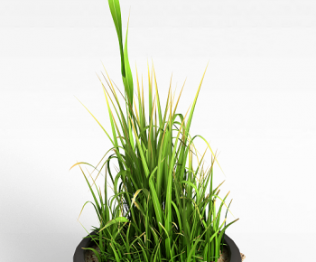 Modern Potted Green Plant-ID:337080004