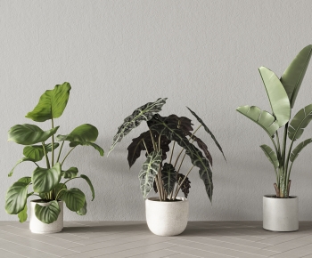 Modern Ground Green Plant Potted Plants-ID:655374053