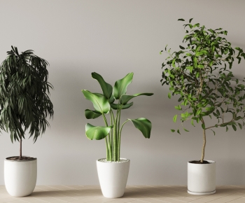 Modern Ground Green Plant Potted Plants-ID:873977909