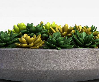 Modern Potted Green Plant-ID:245579008