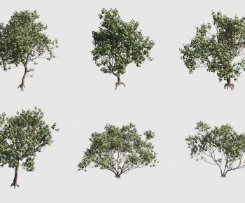 Modern Tree-ID:250379096