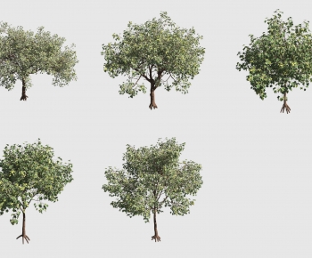 Modern Tree-ID:948724996