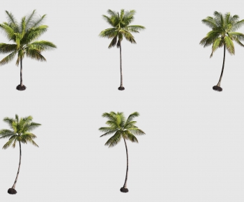 Modern Tree-ID:753259797