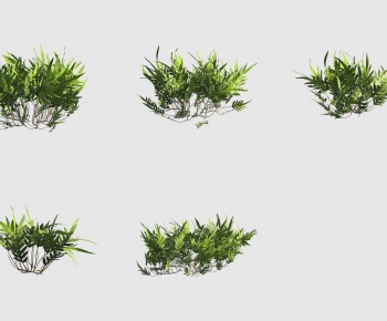 Modern Plant-ID:902487998