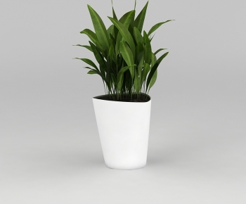 Modern Potted Green Plant-ID:477900039