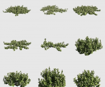 Modern Shrubbery-ID:180766116