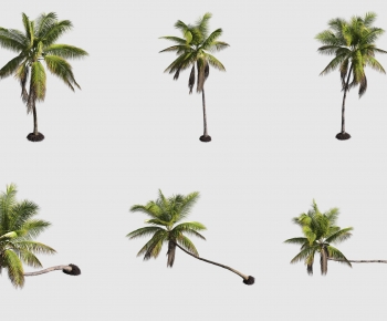 Modern Tree-ID:648875952