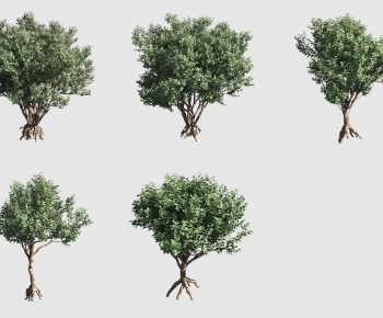 Modern Tree-ID:705001126