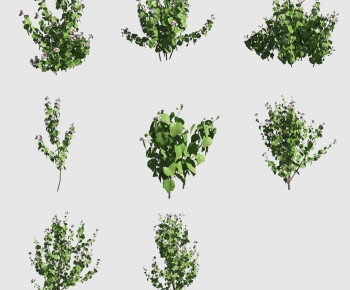 Modern The Grass-ID:494905957