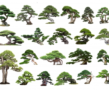 Modern Tree-ID:224179033