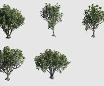 Modern Tree-ID:990890983