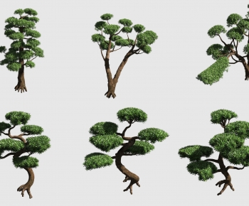 Modern Tree-ID:450109962