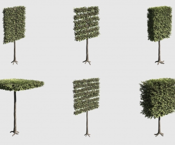 Modern Tree-ID:326448928