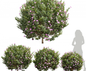 Modern Tree-ID:103816998