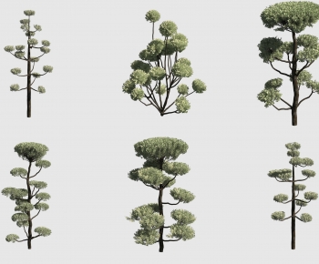 Modern Tree-ID:941095115