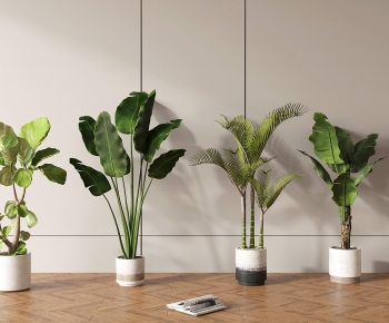 现代落地绿植盆栽组合-ID:288379912