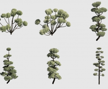 Modern Tree-ID:775897031