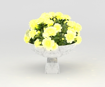 Modern Flower Bed, Flower Bowl, Flower Box-ID:115289936