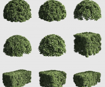 Modern Shrubbery-ID:773735052