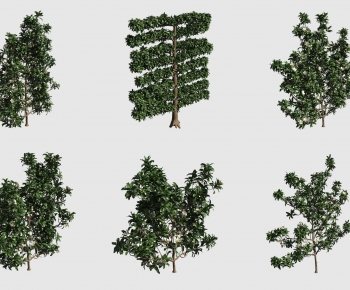 Modern Shrubbery-ID:518323903