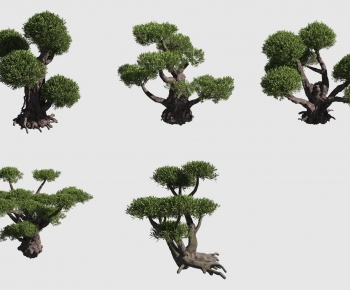 Modern Tree-ID:386799102