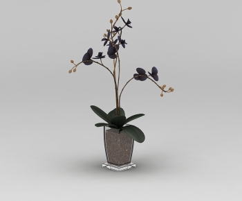 Modern Potted Green Plant-ID:215569974