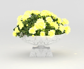 Modern Flower Bed, Flower Bowl, Flower Box-ID:808202033