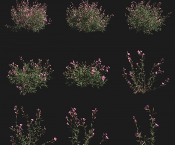 Modern Shrubbery-ID:874736076