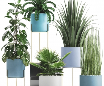 Modern Potted Green Plant-ID:468239899