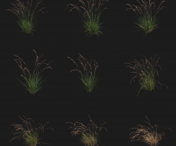 Modern The Grass-ID:786137104