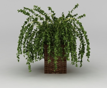 Modern Potted Green Plant-ID:661519053