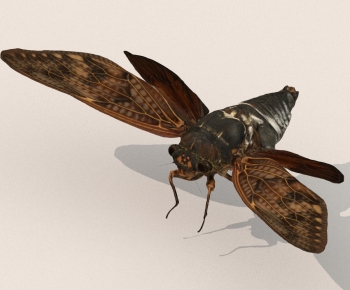 Modern Other Animals-ID:679958114