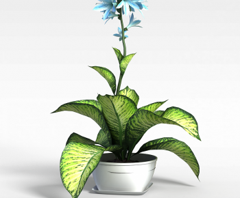 Modern Potted Green Plant-ID:565056097