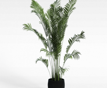 Modern Potted Green Plant-ID:169292936
