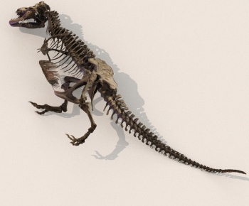 Modern Decorative Set-ID:752794988