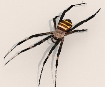 Modern Other Animals-ID:745944029