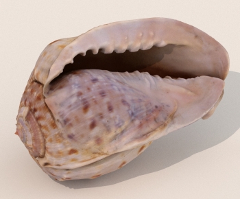 Modern Aquatic Animals-ID:155950072