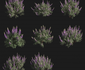 Modern Shrubbery-ID:801866053