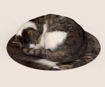 Modern Animal Cat-ID:306096089