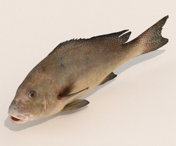 Modern Aquatic Animals-ID:830277922