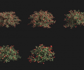 Modern Shrubbery-ID:800081973