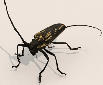 Modern Other Animals-ID:335299021