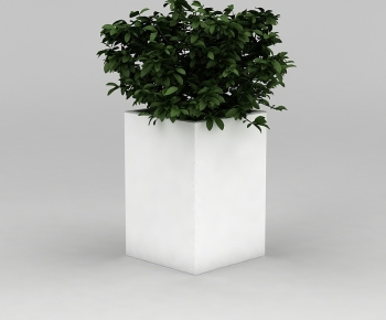 Modern Potted Green Plant-ID:788350131