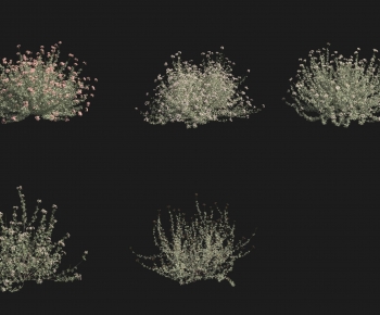 Modern Shrubbery-ID:910859164