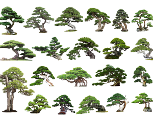 Modern Tree-ID:387008913